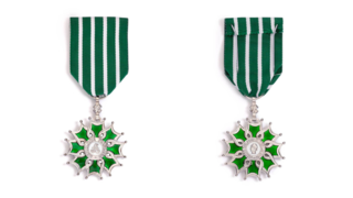 Médaille de chevalier de l'ordre des Arts et des Lettres