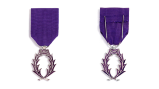Médaille de chevalier de l'ordre des Palmes académiques